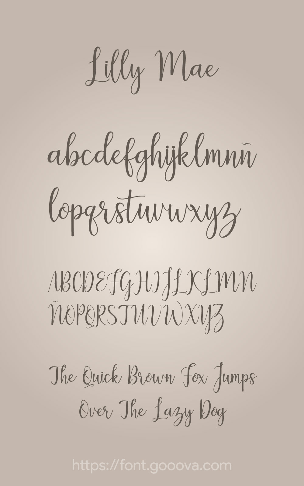 Lilly Mae Font