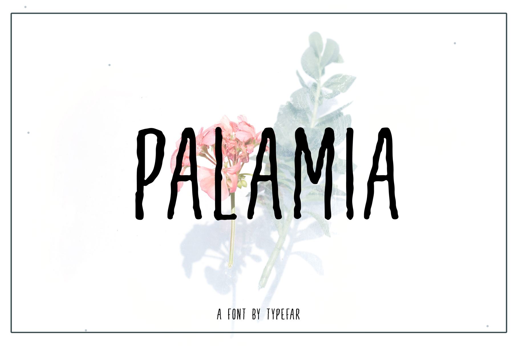 Palamia Font
